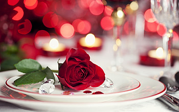 Flowers, Background, Roses, Jewelry HD wallpaper