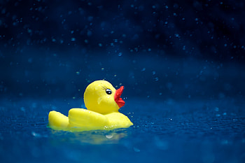 Water, Drops, Miscellanea, Miscellaneous, Spray, Toy, Duckling HD wallpaper