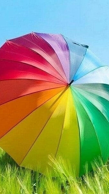 Colour Full, Colour, Full, Umbrella HD phone wallpaper