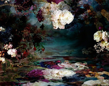 Dreamworld Two, Floating, Floral, Dreamy, Colourful, Pretty HD wallpaper