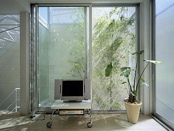 Windows, Flower, Miscellanea, Miscellaneous, Technics, Technique, Equipment, Apparatus, Television, Television Set HD wallpaper