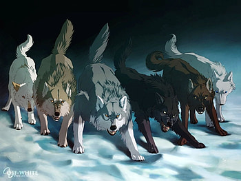 The wolves, Hunting, Wolves, Mean, Anime HD wallpaper