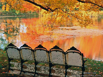 Lakeside view, chairs, fall, colors, view, row, lake HD wallpaper