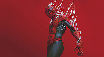Spider-man in the web, digital art HD wallpaper