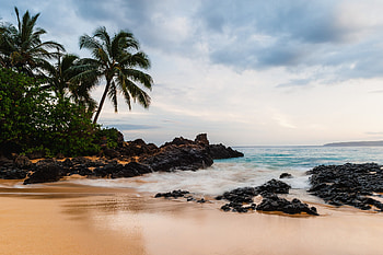 Tropical Serenity: Beachscape in Nature’s Embrace, nature, beach HD wallpaper