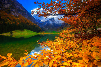Mountain lake in autumn, hills, fall, colors, serenity, tranquil, mountain, lake, cabin, reflection, branches, autumn, , forest, foliage HD wallpaper
