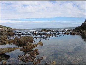 Sea Rocks Sky, blue, sea, sky, sesons, nature, water, rocks HD wallpaper