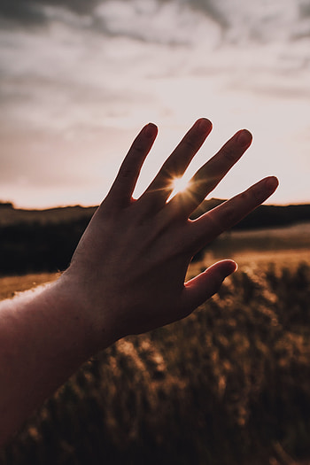 Sun, Hand, Miscellanea, Miscellaneous, Beams, Rays, Sunlight, Fingers HD phone wallpaper