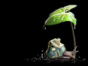 Snail, blue, black, art, house, fantasy, green, water drop, leaf, luminos, home HD wallpaper