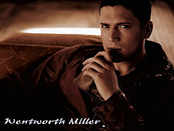 Wentworth Miller, hot, actors, prison break HD wallpaper