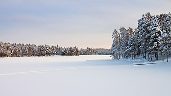 Winter wonderland, beauty, Tranquil snowy scenes, Pristine nature HD wallpaper