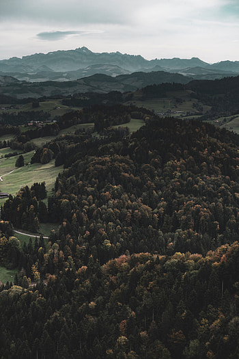 Landscape, Nature, Mountains, View From Above, Forest, Hills HD phone wallpaper