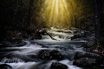 Forest, waterfall, water current, rocks, nature HD wallpaper
