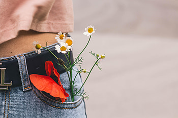 Flowers, Bouquet, Pocket, Belt HD wallpaper