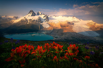 British Columbia, flowers, mountains, canada, lake HD wallpaper