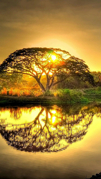 Beautiful For, Sunset HD phone wallpaper