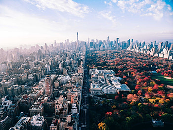 Central Park, , , ID490879 HD wallpaper