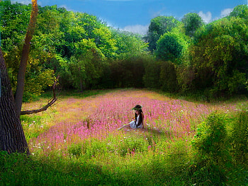 Among summer flowers, girl, grass, lonely, fresh, summer, pink, field, green, trees, flowers, happy, joy, forest, enjoy HD wallpaper
