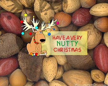 Logon , nuts, logon, shreak, house HD wallpaper