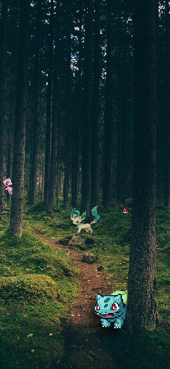 Pokemon Forest, Bulbasaur, Green HD phone wallpaper