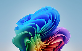Windows 11 2024 Insider, Windows 11, Microsoft, Bloom HD wallpaper
