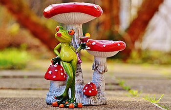Chick Frog, White, Abstract, Funny, Mushrooms, Wine, Art, Red, Frog HD wallpaper