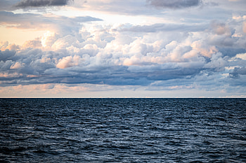 Nature, Sky, Sea, Clouds, Horizon, Bird HD wallpaper