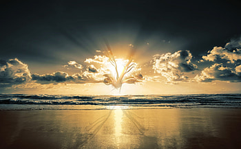 Crepuscule, nature, sunset HD wallpaper