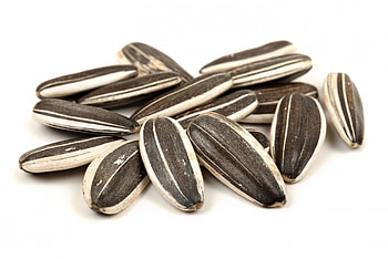 Roasted unsalted sunflower seeds, Health benefits, PipingRock products, Nutty goodness HD wallpaper