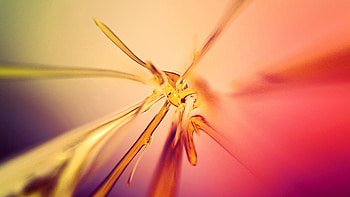 Abstract, Shine, Light, Spray, Color, Paints HD wallpaper