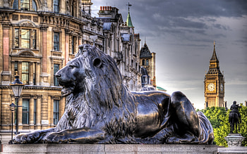 Trafalgar Square, London cityscape, Captivating , Urban graphy HD wallpaper