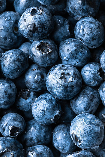 Fresh berries, fruit, blueberry HD phone wallpaper