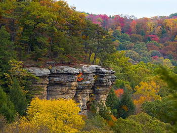 Colorful Cliff, colorful, woods, autumn, cliff, forest HD wallpaper