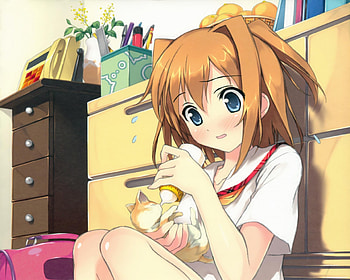 Milk Feeding, kitten, kitty, cute, nice, eat, short hair, adorable, female, milk, sweet, eating, girl, cat, bottle, kawaii, anime girl, anime, pretty, brown hair, lovely, feed HD wallpaper