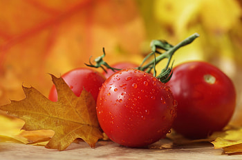 Mobile , Fresh vegetables, Food graphy, Vibrant colors HD wallpaper