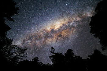 Trees, Night, Dark, Silhouettes, Starry Sky HD wallpaper