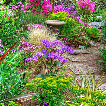 summer garden, summer, purple, garden, nature, flowers HD wallpaper