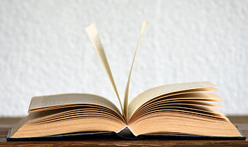 Close-up of an open book with pages turning, creating a dynamic visual. HD wallpaper