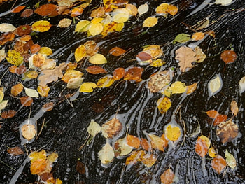 Autumn, river, beautiful, nature HD wallpaper