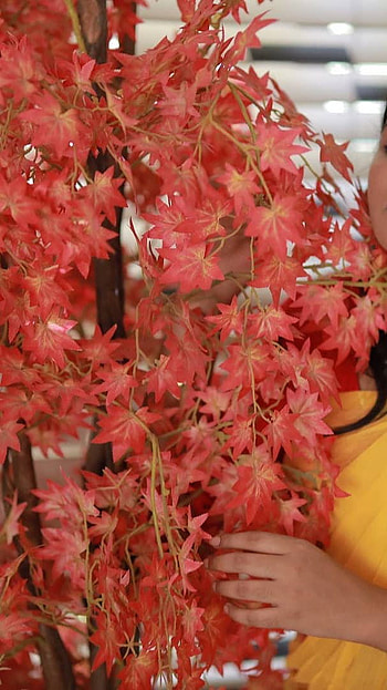 Maneesha Mahesh, mallu aunty, saree lover HD phone wallpaper