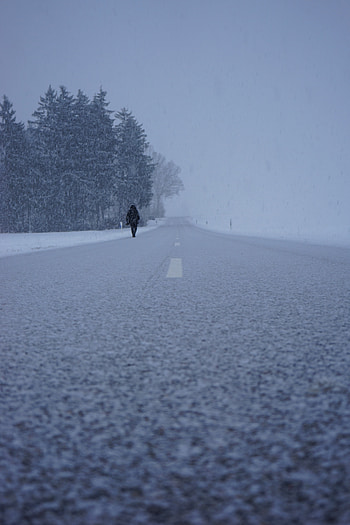 Winter, Nature, Silhouette, Road, Fog, Snowstorm, Snowfall HD phone wallpaper