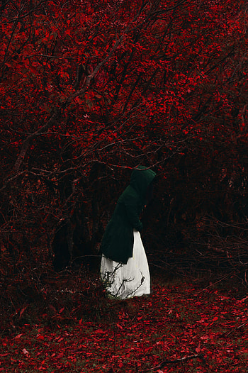Nature, Autumn, Forest, Foliage, Human, Person, Loneliness, Lonely, Alone, Hood HD phone wallpaper