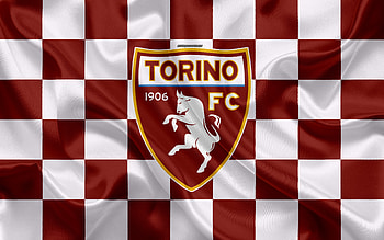 Torino FC, soccer, flag, logo, football HD wallpaper