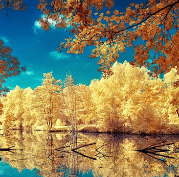 Autumn lake, colorful, autumn, splendor, forest, lake HD wallpaper