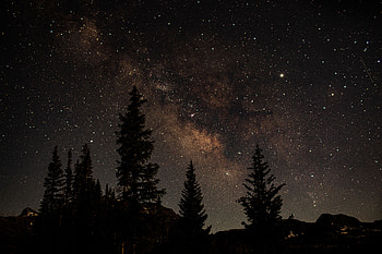 Nature, Trees, Night, Dark, Starry Sky HD wallpaper