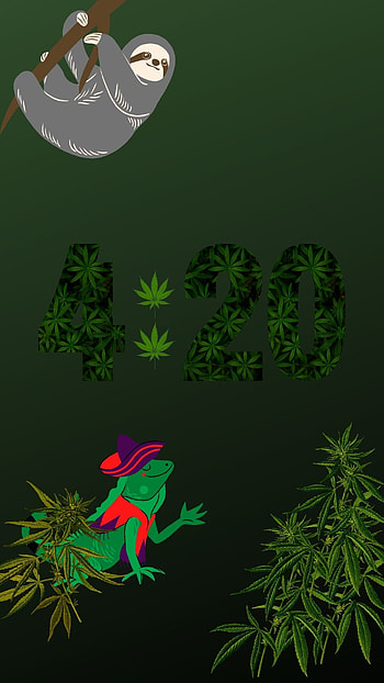 4:20, Rasta, Ragga, verde HD phone wallpaper