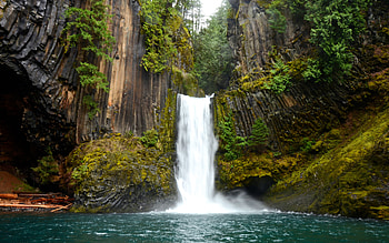 waterfall, rocks, fern, mountain waterfall, forest, jungle, overcast, rain HD wallpaper