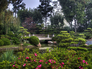 Nature, Vegetation, Bridge, Pond HD wallpaper