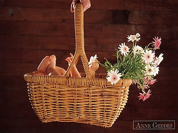 spring gift, basket, baby, anne geddes, flower HD wallpaper