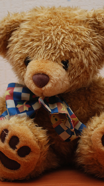 Teddy Wale, Small Teddy, toy HD phone wallpaper